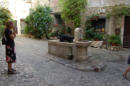 Hundebad