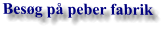 Besøg på peber fabrik