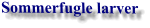 Sommerfugle larver