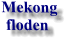 Mekong  floden